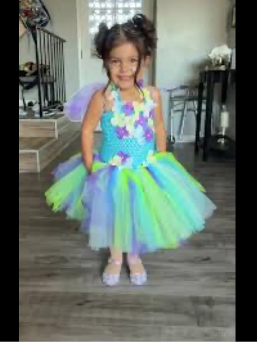 Girls Blue & Green Fairy Tutu Costume w/ wings.